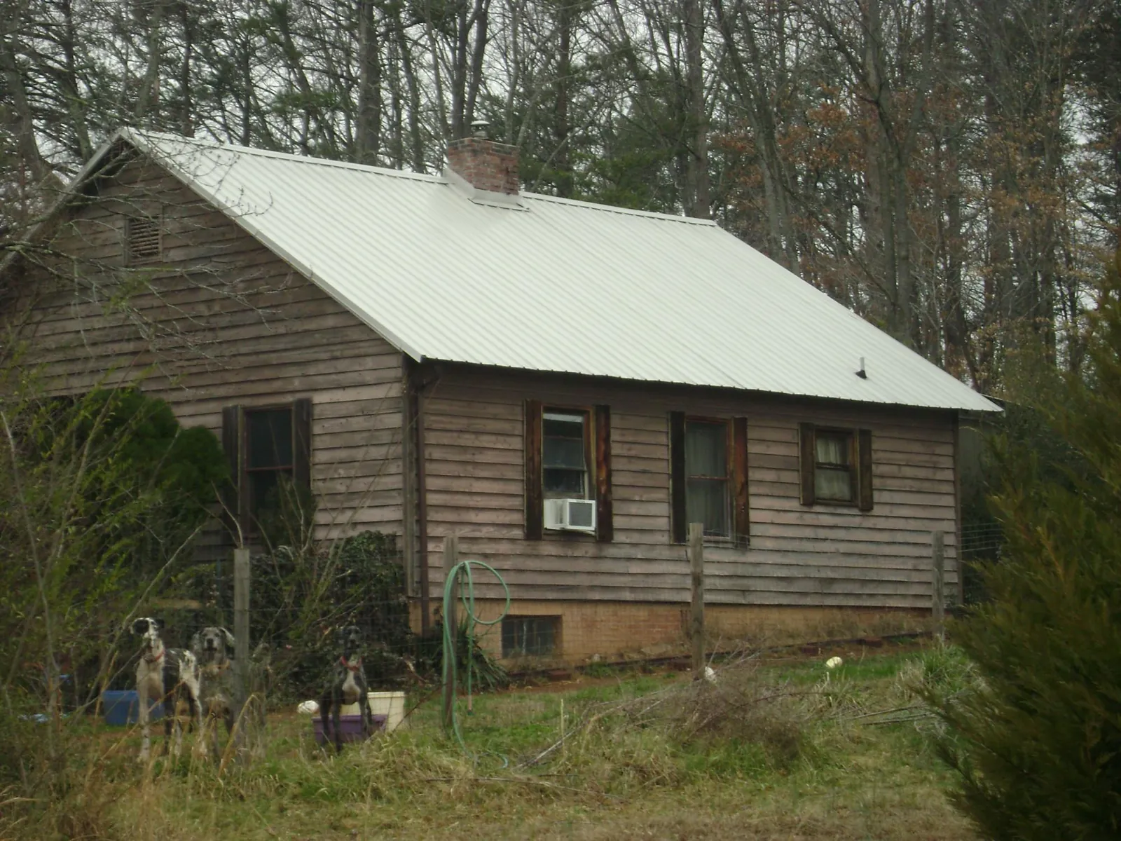 White metal roof on an old wood sided farmhouse, from a Metal Roof Installation job in Ely